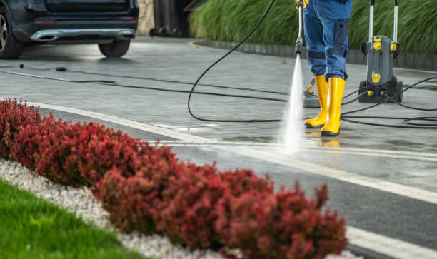 Best Fence Cleaning  in Iron Mountain, MI